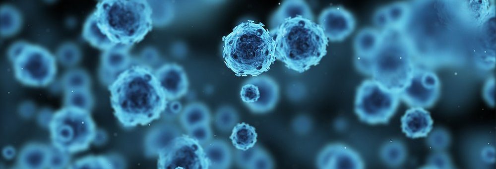HERPES, virus, bakteri